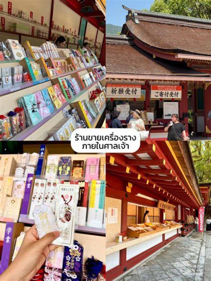 五十路マダム博多の魅力と文化的背景を深掘り